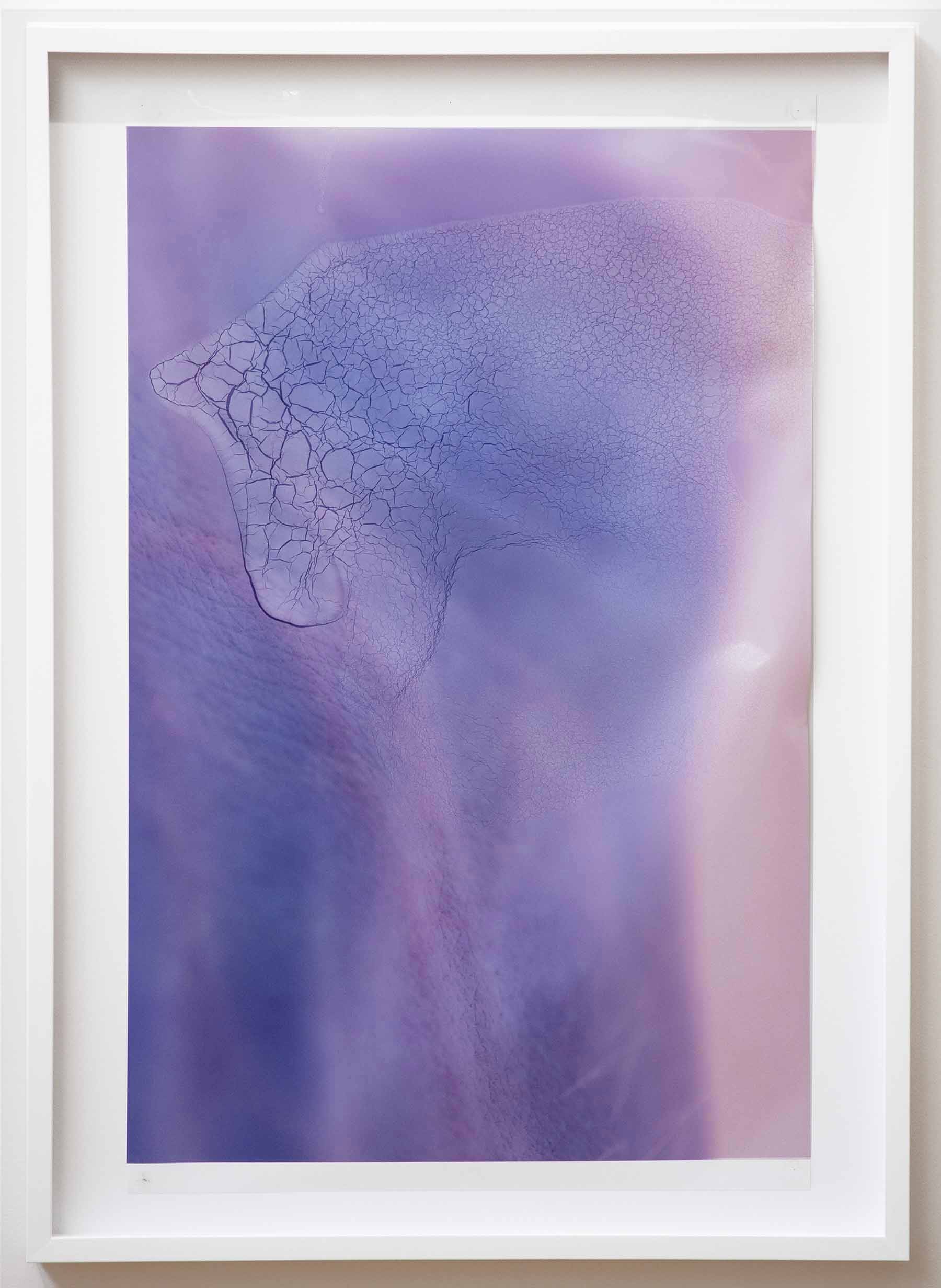 View Lucas Davidson 3