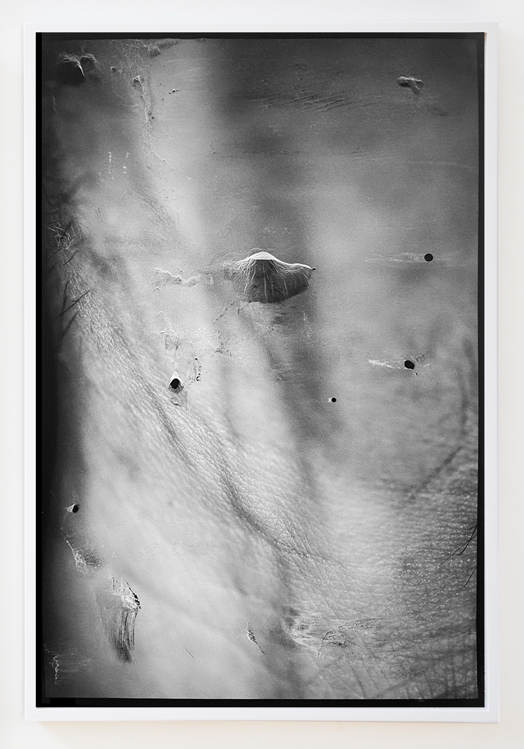 View Lucas Davidson (3)